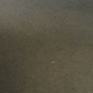 Meet your Posher, Niki